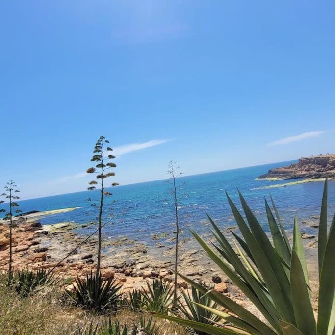Belle Mar Sea View Studio تورّيفيِخا المظهر الخارجي الصورة